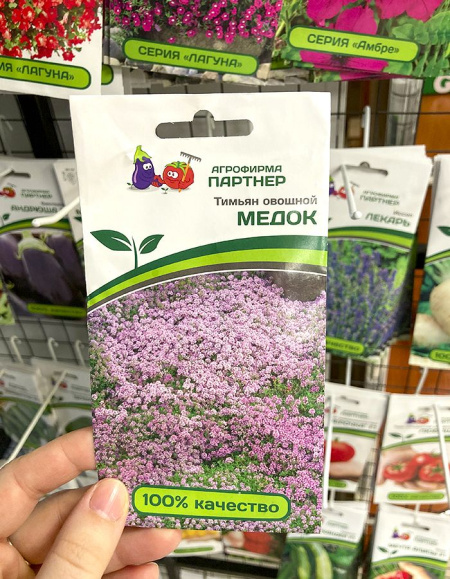 Тимьян овощной Медок